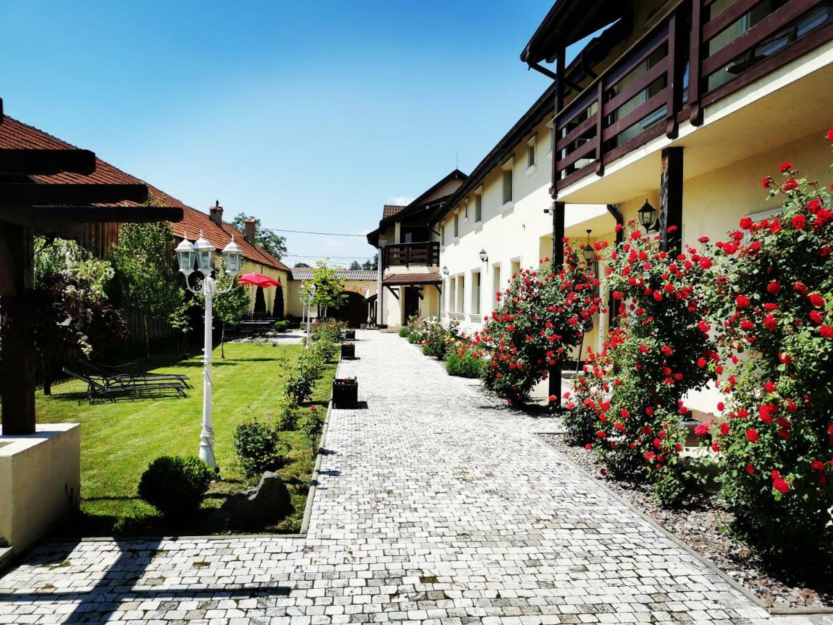 Pensiunea Casa Moga Bucium (Brasov) Exterior foto